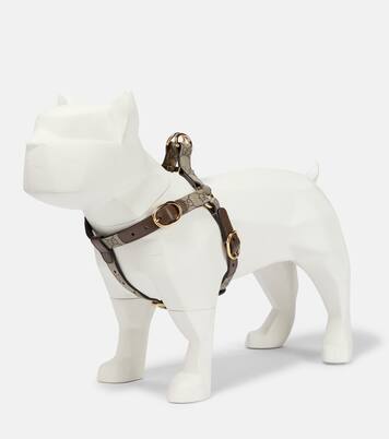 GG Supreme S/M dog harness | Gucci