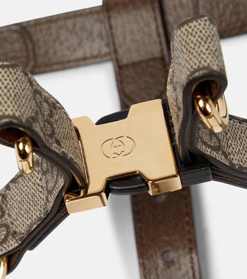 GG Supreme S/M dog harness | Gucci