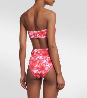 Culotte de bikini Dorit à fleurs | Alexandra Miro