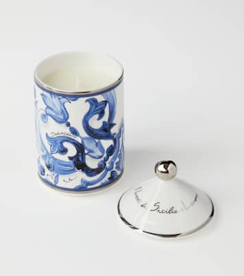 Blu Mediterraneo scented candle | Dolce&Gabbana Casa