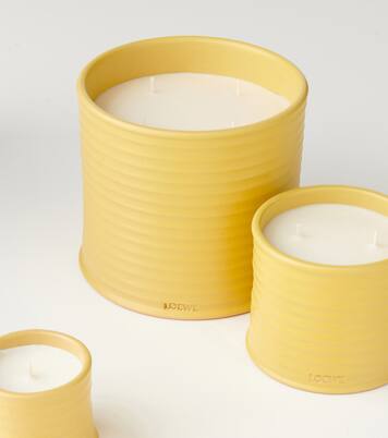Honeysuckle Small scented candle | Loewe Home Scents
