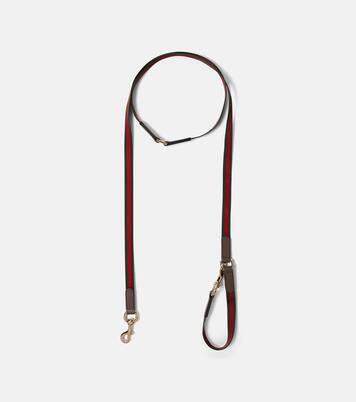 Leine für Hunde Web Stripe | Gucci
