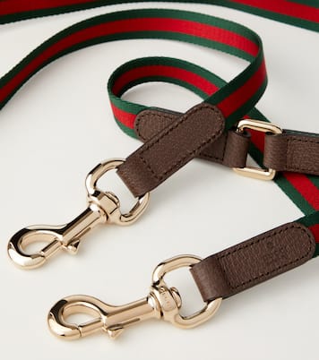 Leine für Hunde Web Stripe | Gucci