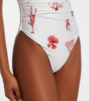 Bañador Rabano estampado | Agua by Agua Bendita