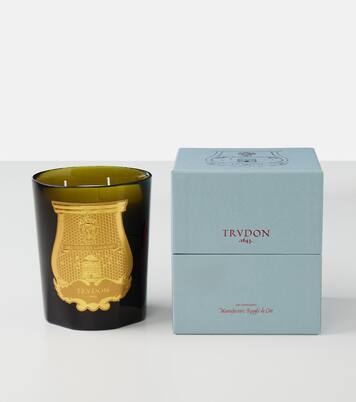 Vela aromática Ernesto de vidrio | Trudon