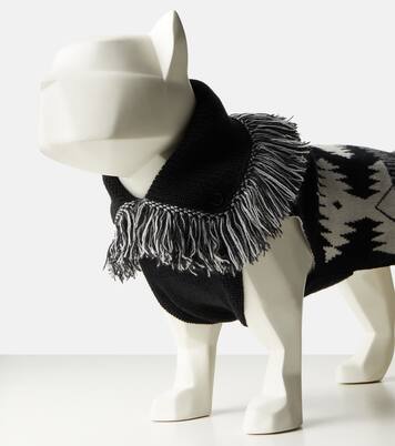 x Poldo Dog Couture - Pullover per cani Icon | Alanui