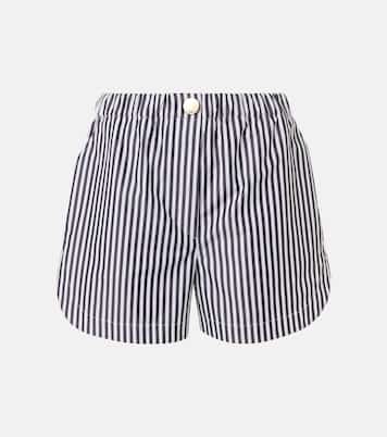 Shorts Muscari aus Baumwolle | Sportmax