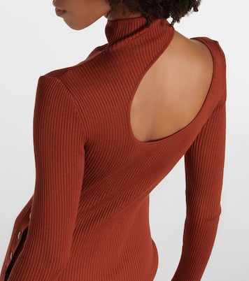 Abito midi Fineas in seta a coste | Petar Petrov