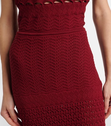 Cut-out knitted midi skirt | Elie Saab