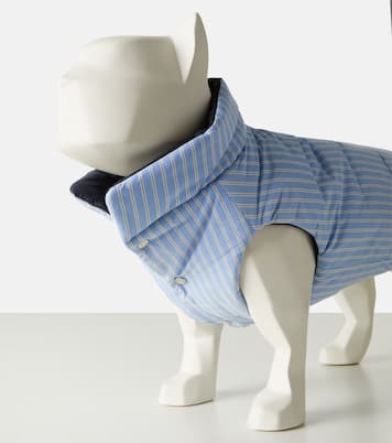 Moncler Poldo Dog Couture striped dog coat | Moncler