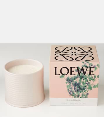 Oregano Large scented candle | Loewe Home Scents