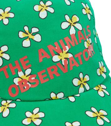 Hamster floral baseball cap | The Animals Observatory