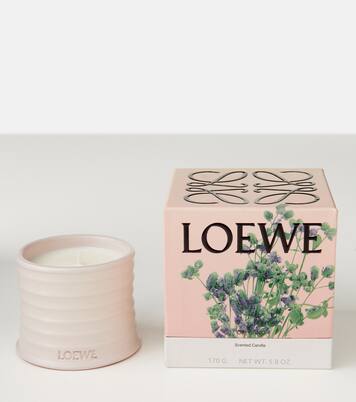 Oregano Small scented candle | Loewe Home Scents