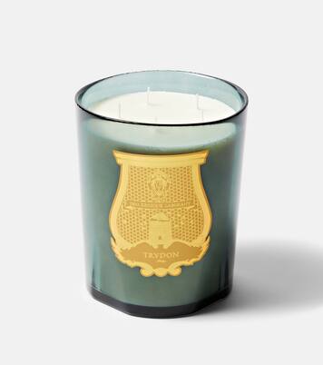 Figuerie Great scented candle | Trudon