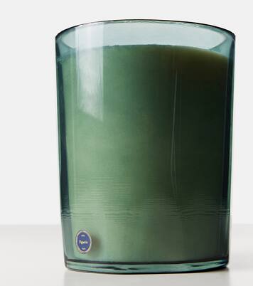 Figuerie Great scented candle | Trudon
