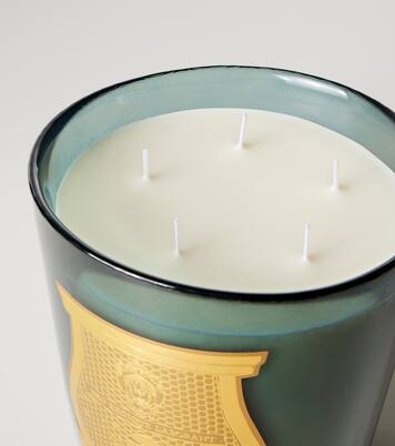 Figuerie Great scented candle | Trudon