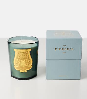 Figuerie Great scented candle | Trudon