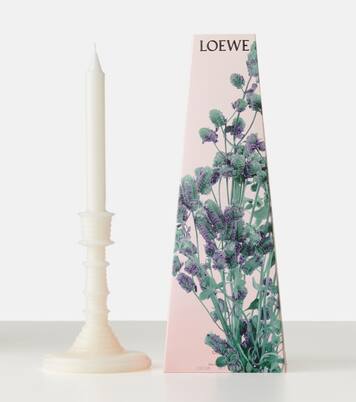 Bougie parfumée Oregano | Loewe Home Scents