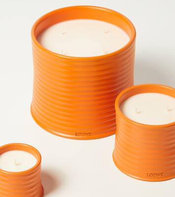 Orange Blossom Medium scented candle | Loewe Home Scents