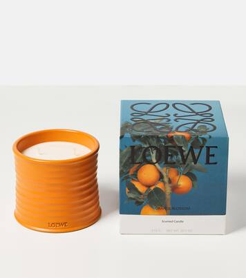 Orange Blossom Medium scented candle | Loewe Home Scents
