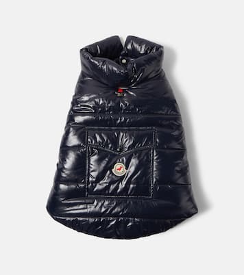 Moncler Poldo Dog Couture dog coat | Moncler