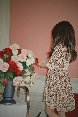 Carlito leopard-print velvet dress | Konges Sløjd