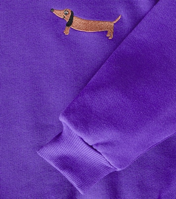 Embroidered cotton jersey sweatshirt | Mini Rodini