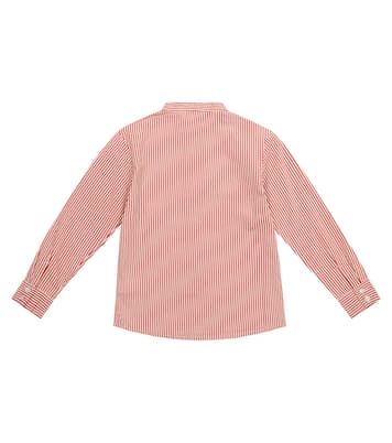 Scorpion pinstriped cotton shirt | The Animals Observatory