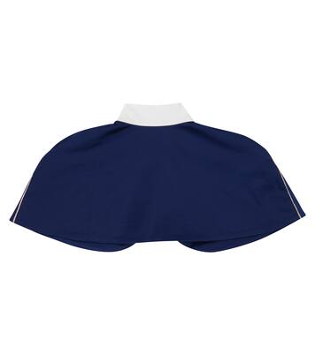 Cape Armadillo | The Animals Observatory