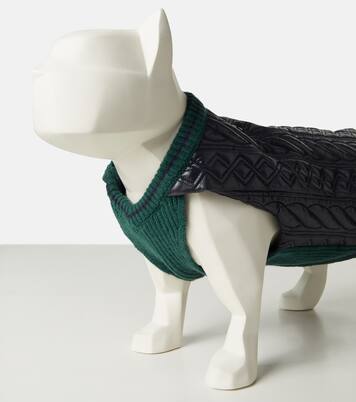Moncler Poldo Dog Couture dog coat | Moncler