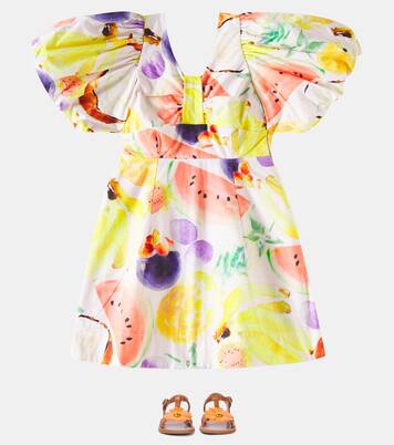 Cissy printed cotton dress | Molo