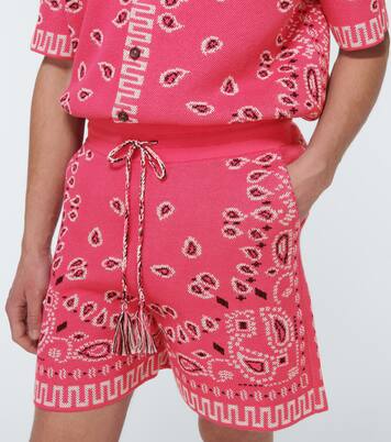 Bandana cotton-blend piqué shorts | Alanui