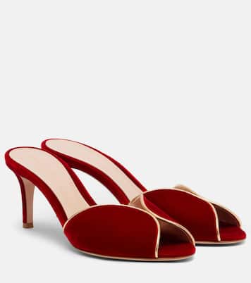 70 leather-trimmed velvet mules | Gianvito Rossi