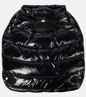 6 Moncler 1017 ALYX 9SM dog coat | Moncler