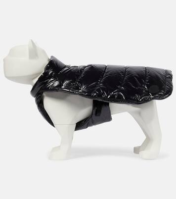 6 Moncler 1017 ALYX 9SM dog coat | Moncler