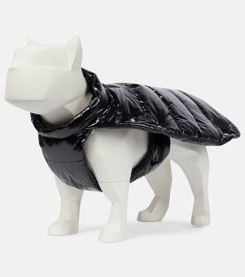 6 Moncler 1017 ALYX 9SM dog coat | Moncler