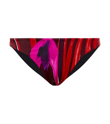 Culotte de bikini Scoop imprimée | Louisa Ballou