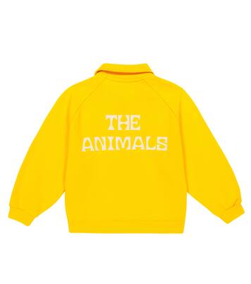 Pullover Seahorse aus Baumwolle | The Animals Observatory