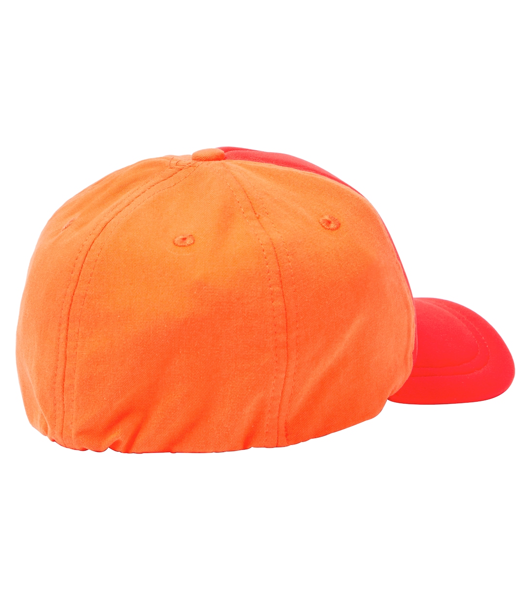 Baseballcap Hamster | The Animals Observatory