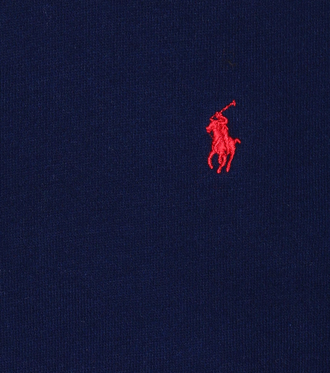 Felpa in cotone | Polo Ralph Lauren Kids