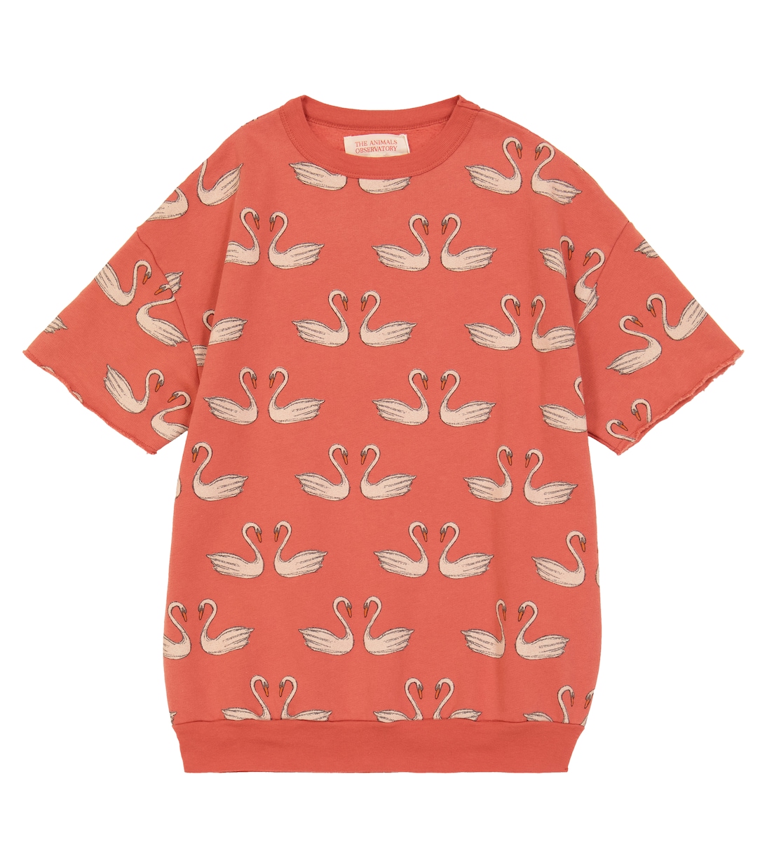 T-Shirt aus Baumwoll-Jersey | The Animals Observatory