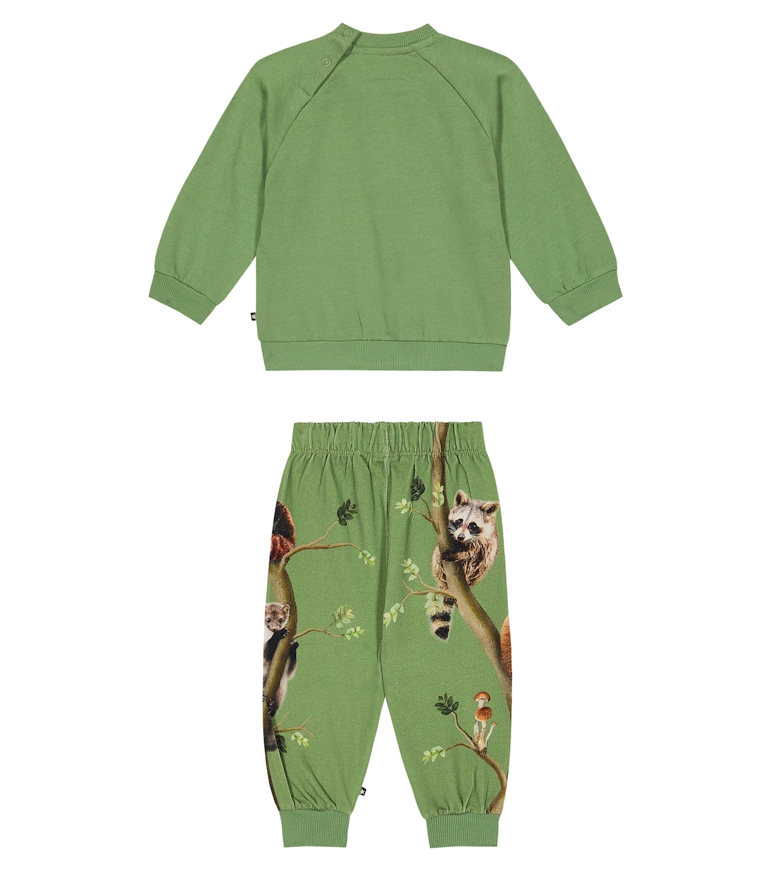 Baby - Felpa e pantaloni sportivi Disc | Molo