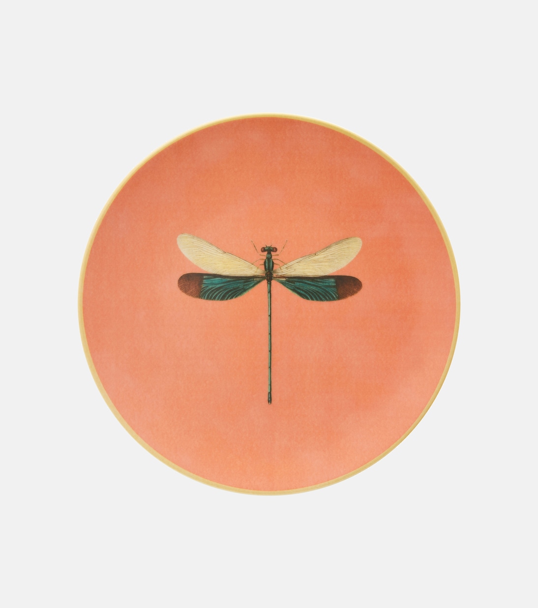 Piatto Insetti Dragonfly in porcellana | Les-Ottomans
