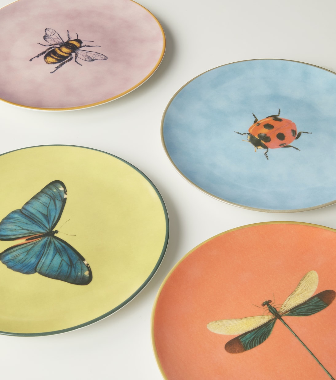 Piatto Insetti Dragonfly in porcellana | Les-Ottomans