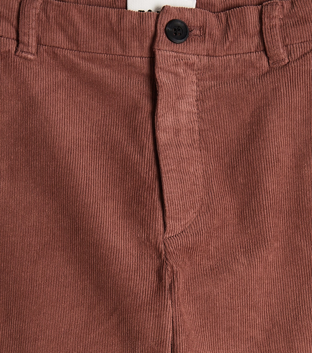 Hose aus Baumwolle | Morley