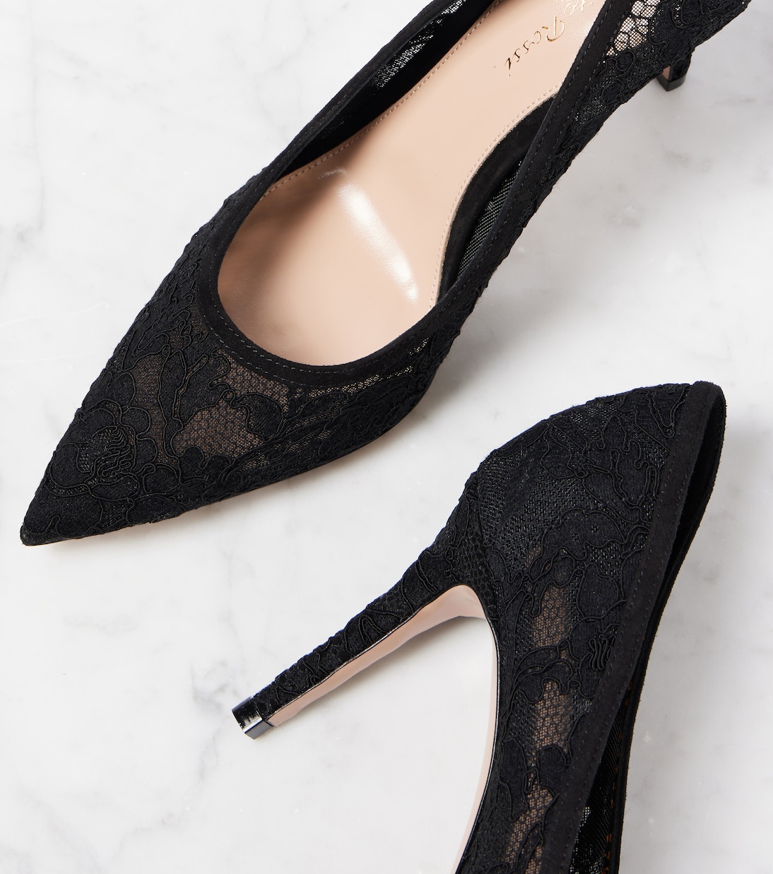 Salones Pointy 85 de encaje | Gianvito Rossi
