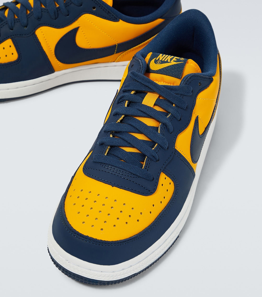 Sneakers Terminator Low aus Leder | Nike