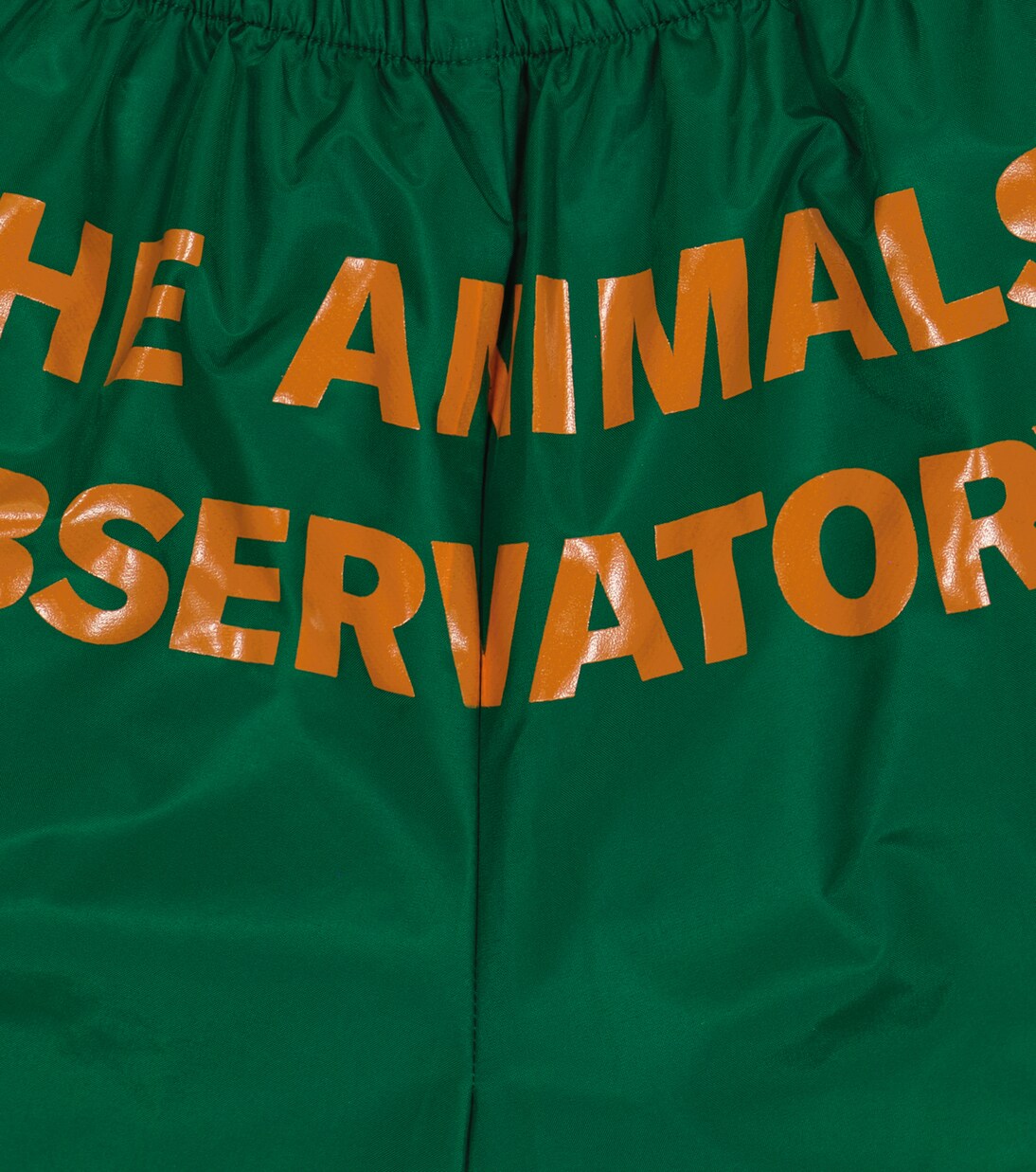 Puppy swim trunks | The Animals Observatory