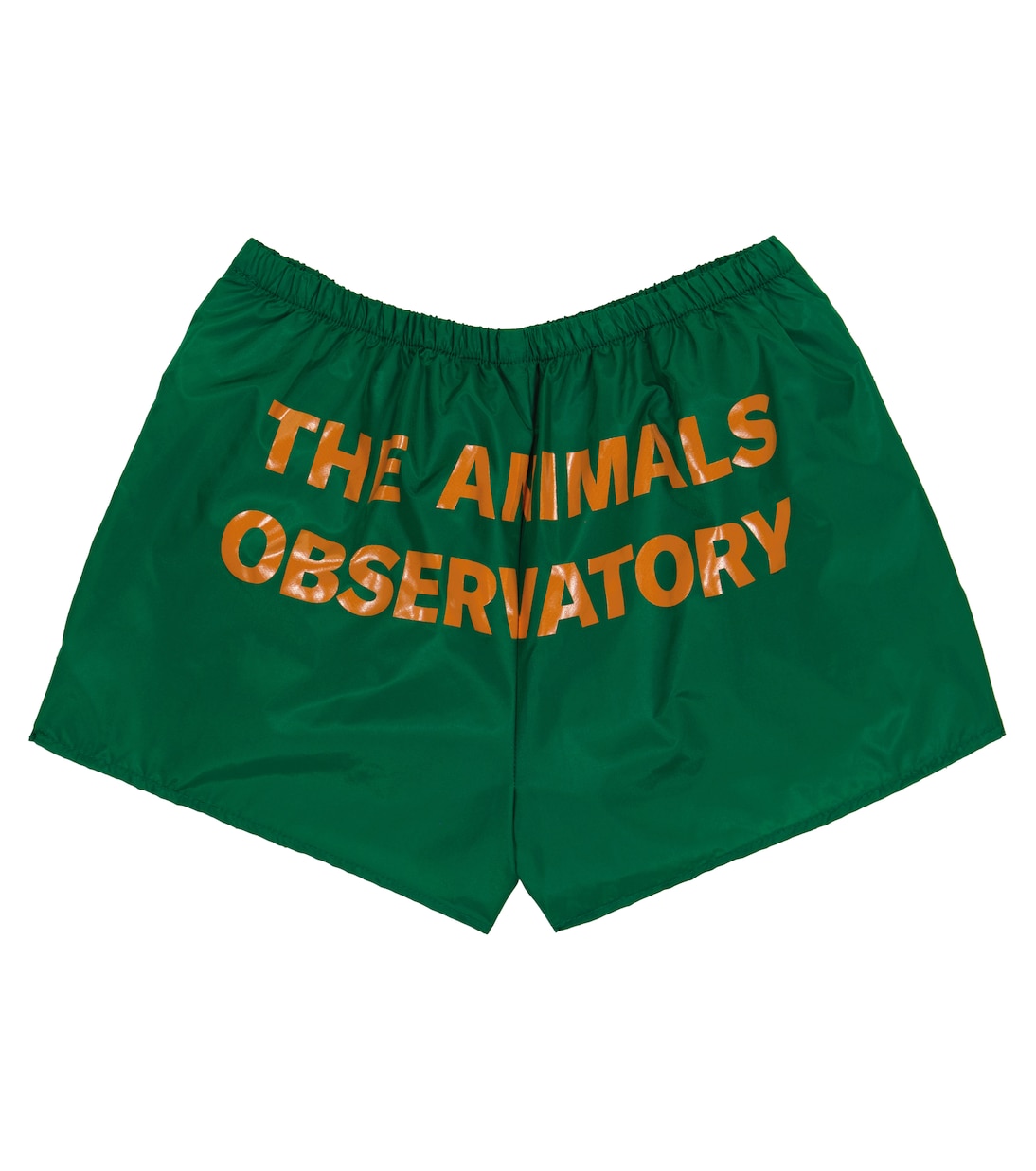 Puppy swim trunks | The Animals Observatory