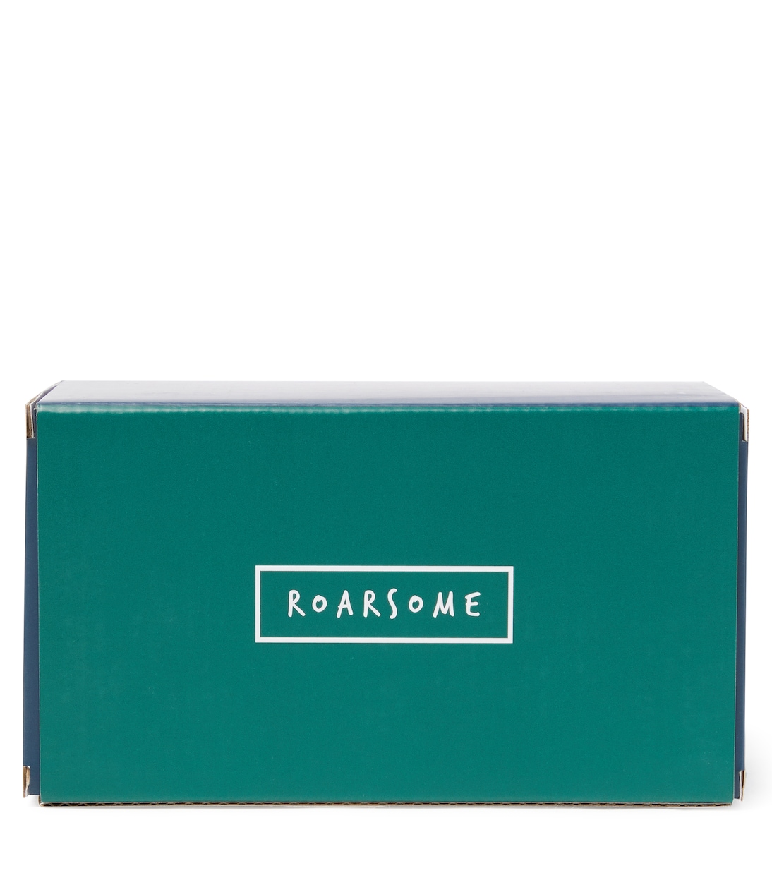 Logo ski goggles | Roarsome